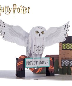 Harry Potter Hedwig Pop Up Card
